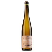 Laden Sie das Bild in den Galerie-Viewer, Burg Layer Hölle Riesling trocken 2019